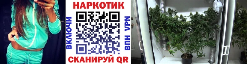 Купить наркотики сайты Тамбов СОЛЬ  Метадон  MEGA сайт  АМФ  ГАШИШ 