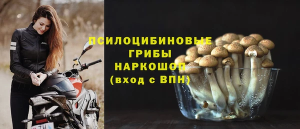 МДПВ Рославль
