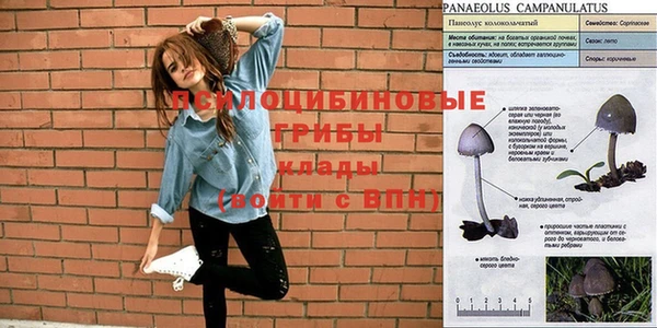 мяу мяу мука Сим