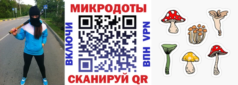 Псилоцибиновые грибы MAGIC MUSHROOMS Тамбов
