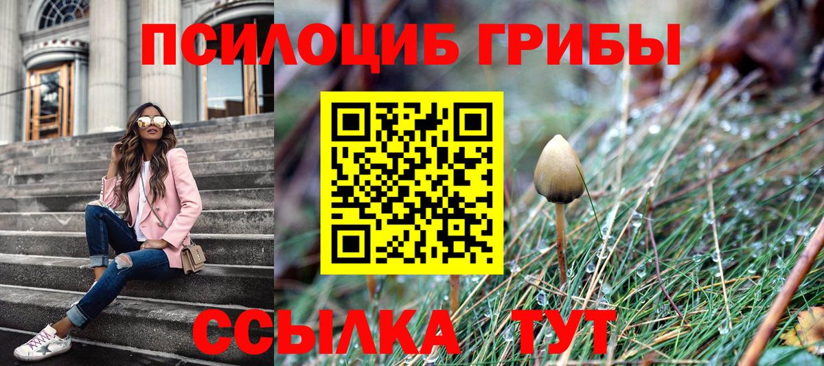 Псилоцибиновые грибы Psilocybe  Вход с VPN  Тамбов  Галлюциногенные грибы Cubensis 