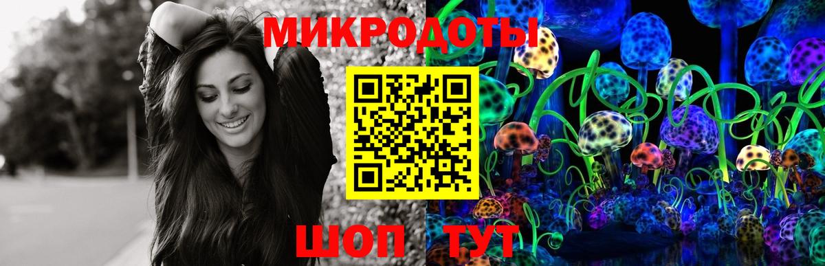 Псилоцибиновые грибы Magic Shrooms Тамбов