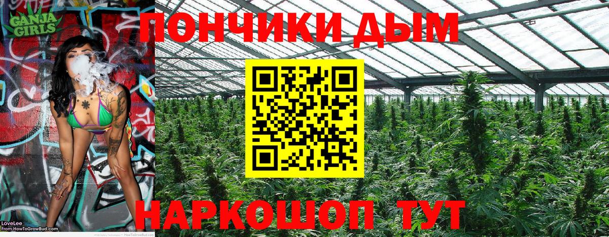 Бошки марихуана Amnesia  МАРИХУАНА OG Kush  Бошки марихуана Ganja  Марихуана Bruce Banner  Тамбов  Вход с VPN 